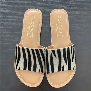 Coconuts by Matisse zebra sandals